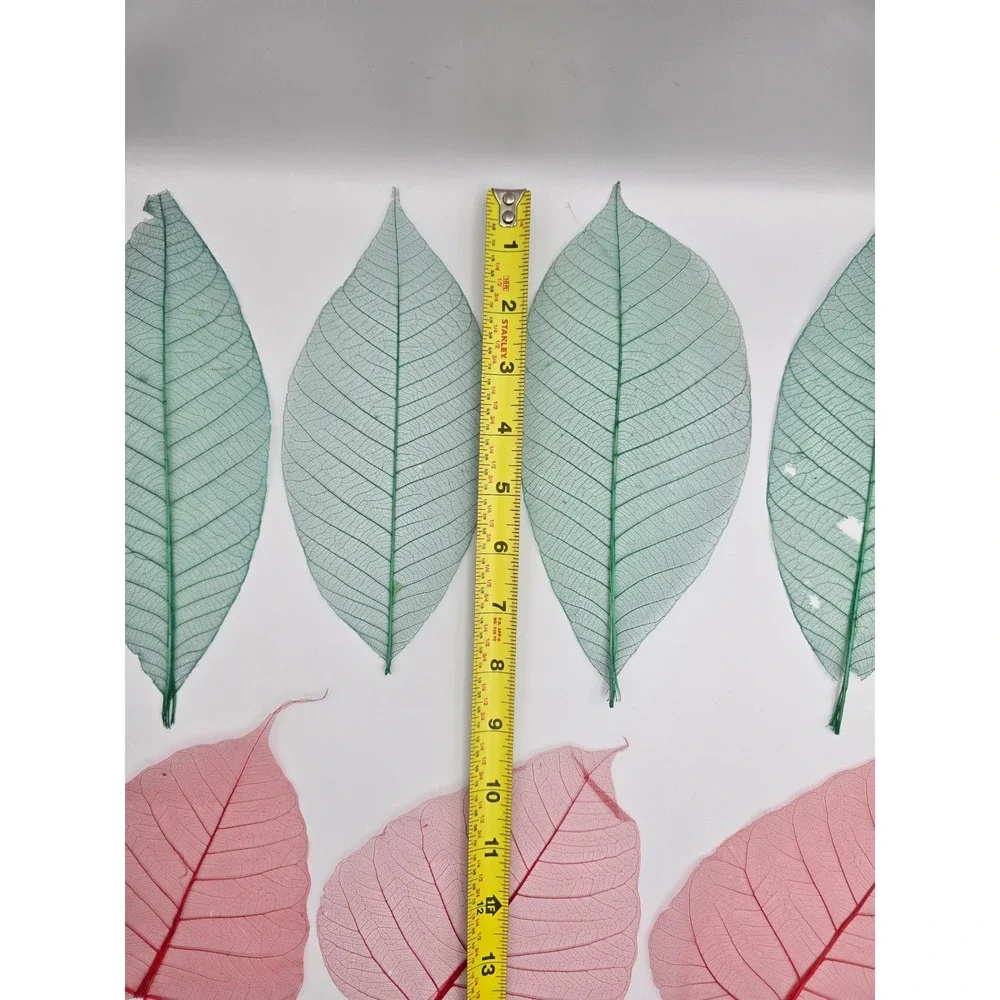 Skeleton Leaves Green Pink‎ Botanical Decor Crafting Floral Arrangements